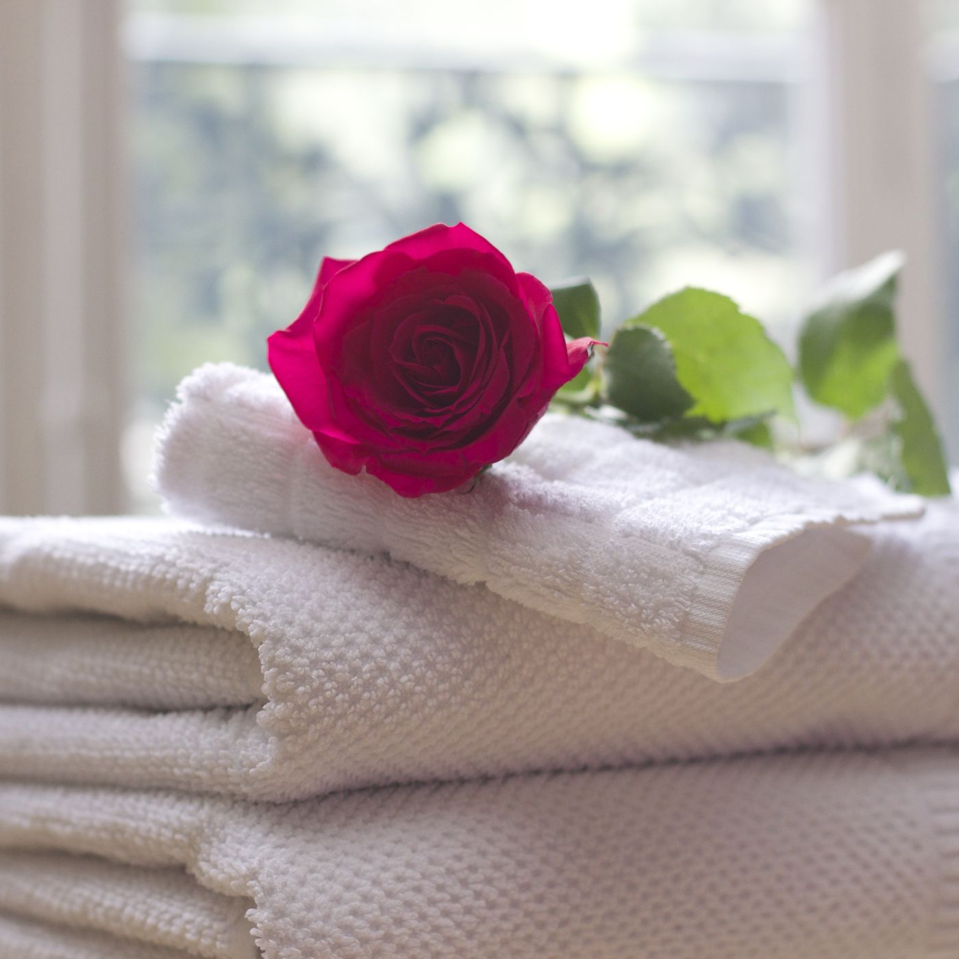 Towels, tea and botanicals laid out for a spa ritual