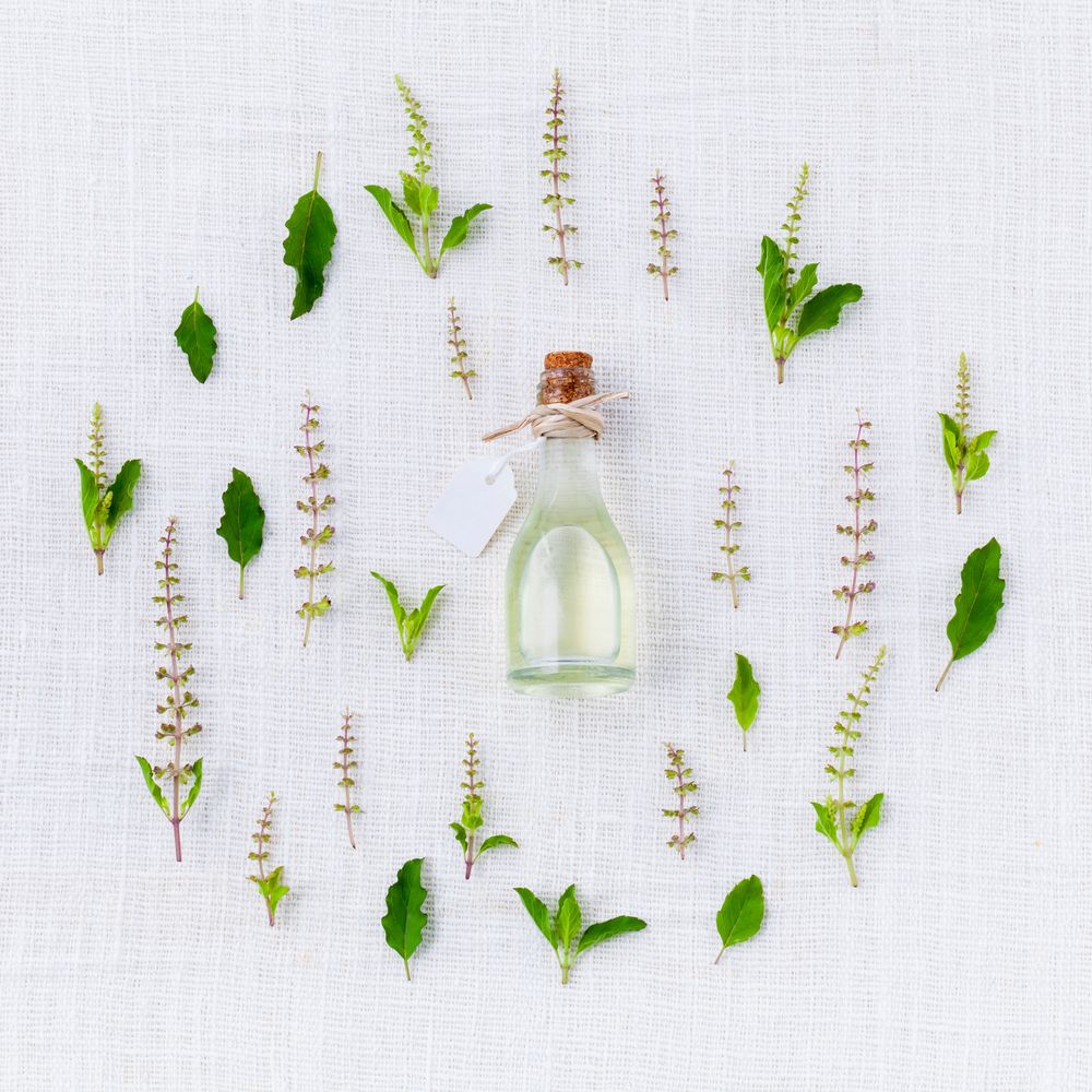 The botanicals we work with
