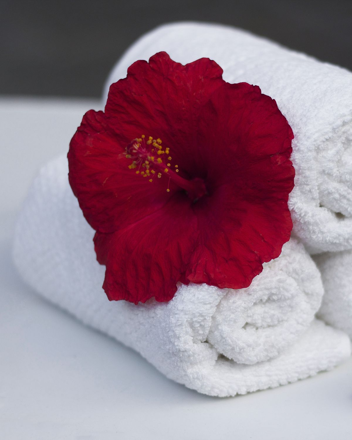 Rolled towels and botanical oils ready in a treatment room